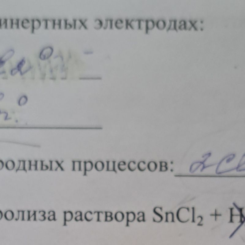 20221122_141131.jpg