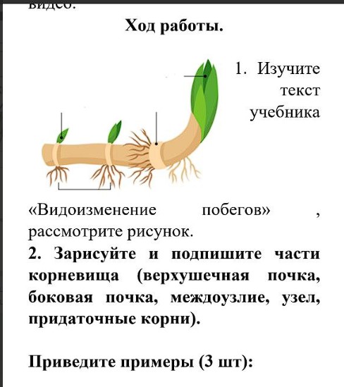 Скриншот 14-02-2024 122910.jpg