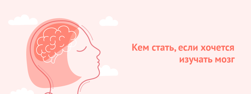 Кем стать, если хочется изучать мозг.png