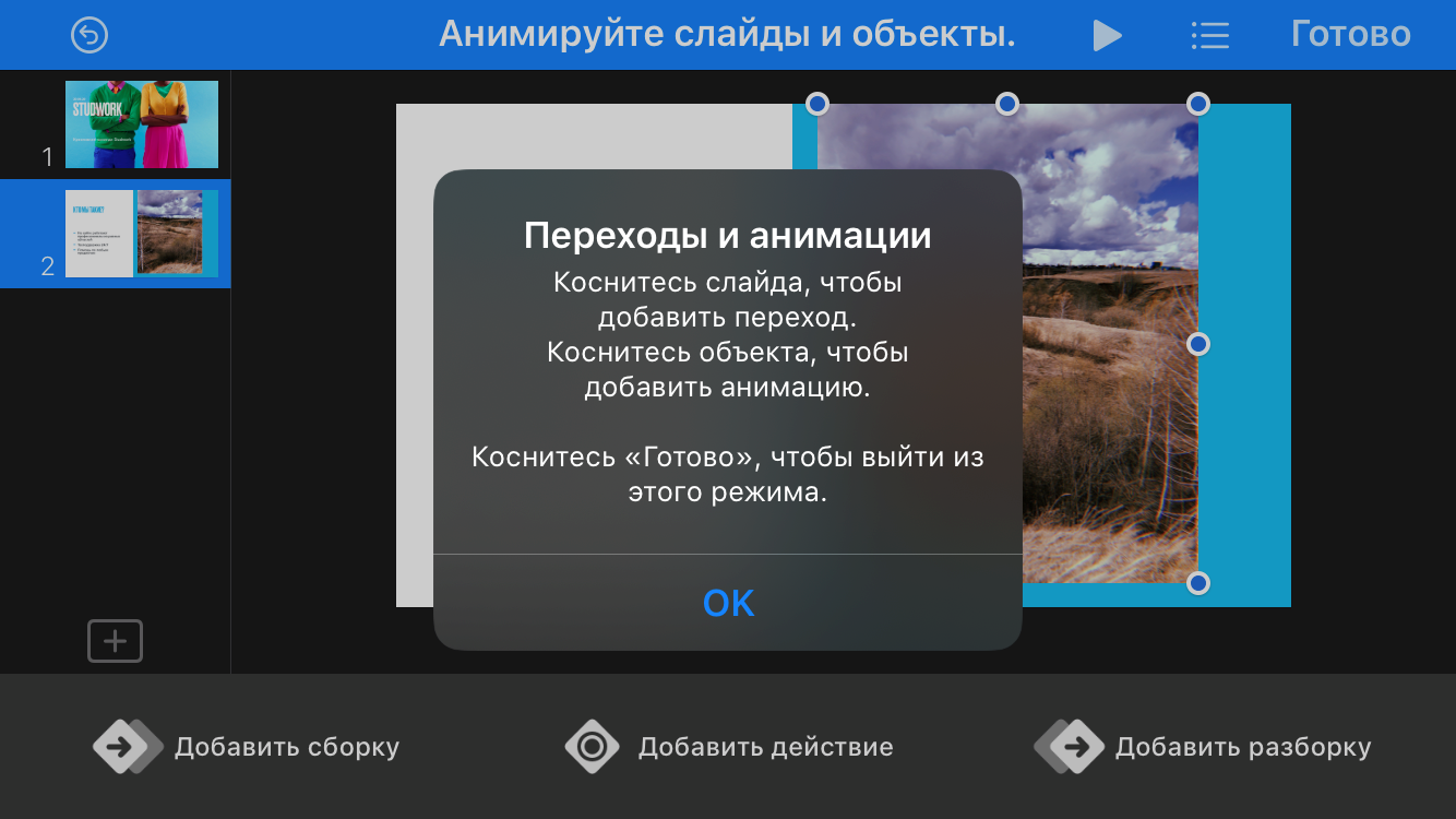 презентация11.png