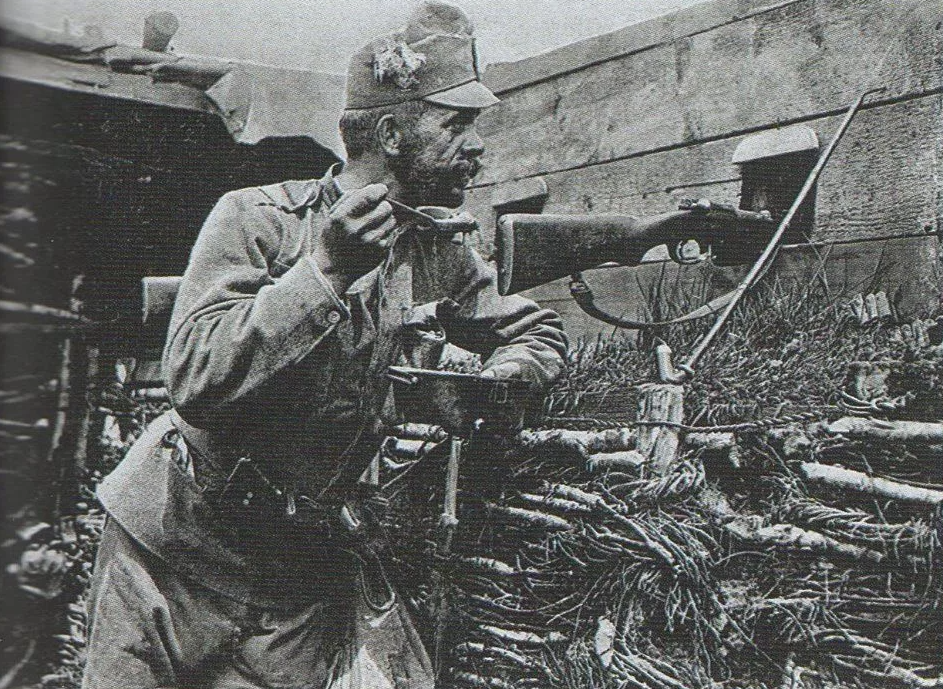 Скриншот 04082022 15_04_44.png