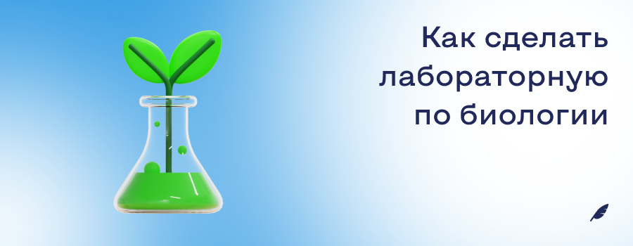 Как сделать лабораторную по биологии.png