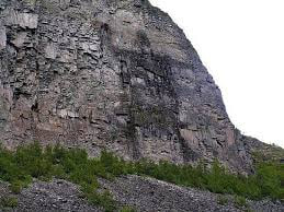 img013.jpg