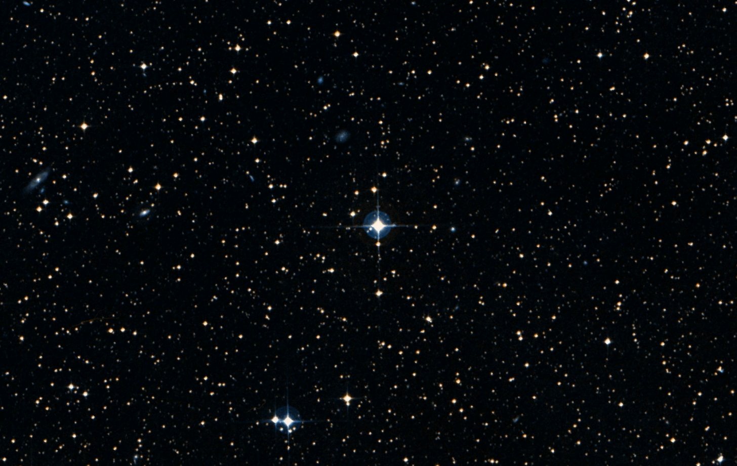 przybylski_star1456x921.jpg