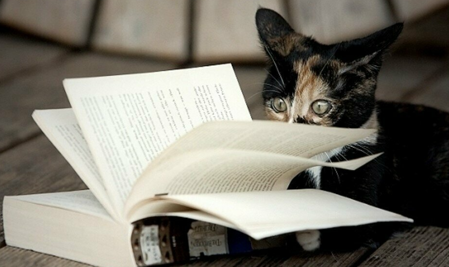 bookday.png