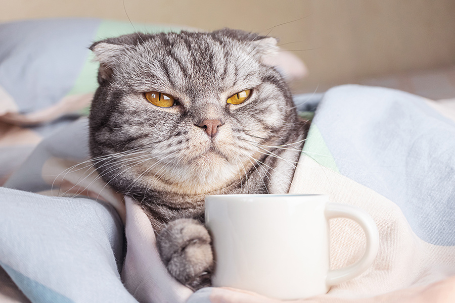 coffee.jpg